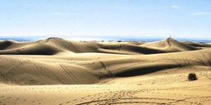 Beitragsbild des Blogbeitrags Last Minute Gran Canaria