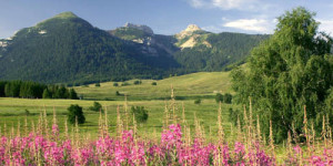 Beitragsbild des Blogbeitrags Le Blanc Hotel & Spa – Dolomiten