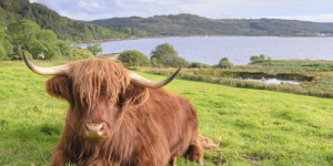 Beitragsbild des Blogbeitrags Schottland Rundreise