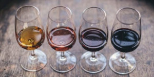 Beitragsbild des Blogbeitrags Weinreise – Venetien, Toskana & Piemont