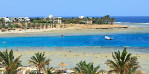 Beitragsbild des Blogbeitrags Marsa Alam Urlaub
