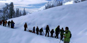 Beitragsbild des Blogbeitrags Hotel Marco Polo Alpina – Maria Alm
