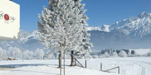Beitragsbild des Blogbeitrags Vitalhotel Saliter Hof