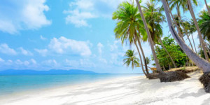 Beitragsbild des Blogbeitrags Phuket Schnäppchen