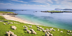 Beitragsbild des Blogbeitrags Irland Rundreise
