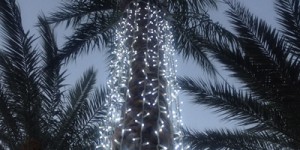 Beitragsbild des Blogbeitrags Magst du Weihnachten? Dein inneres Licht ! Teil 2