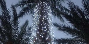 Beitragsbild des Blogbeitrags Magst du Weihnachten? Dein inneres Licht ! Teil 2 