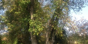 Beitragsbild des Blogbeitrags Was ist und bleibt ?