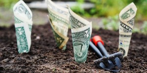 Beitragsbild des Blogbeitrags Mein Dividendendepot