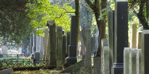 Beitragsbild des Blogbeitrags A Scheene Leich – Es lebe der Wiener Zentralfriedhof…