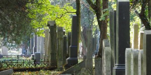 Beitragsbild des Blogbeitrags A Scheene Leich – Es lebe der Wiener Zentralfriedhof… 