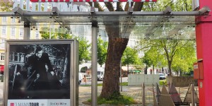 Beitragsbild des Blogbeitrags Auf den Spuren von Harry Lime – Der Dritte Mann in Wien