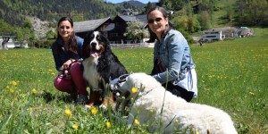 Beitragsbild des Blogbeitrags WauTau hondgmocht – Selbstgemachte Hundeleinen mit „Wau“-Effekt 