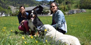 Beitragsbild des Blogbeitrags WauTau hondgmocht – Selbstgemachte Hundeleinen mit „Wau“-Effekt