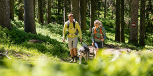 Beitragsbild des Blogbeitrags Wanderurlaub mit Hund – Bergmomente für Mensch & Tier