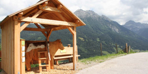Beitragsbild des Blogbeitrags Auf den Spuren von Milch und Käse – neuer Lehrpfad in Kleinarl