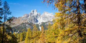 Beitragsbild des Blogbeitrags UNSERE SCHÖNSTEN HERBSTMOMENTE – die goldene Jahreszeit in Filzmoos