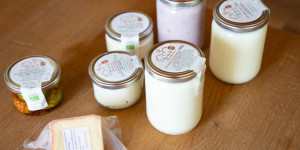 Beitragsbild des Blogbeitrags Von der Natur und mit der Natur – Milchprodukte vom Hundsalzhof in Flachau