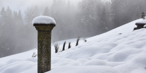 Beitragsbild des Blogbeitrags Der Bauerngarten im Jahreskreis: Die Ruhe des Winters 
