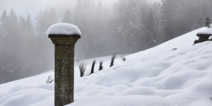 Beitragsbild des Blogbeitrags Der Bauerngarten im Jahreskreis: Die Ruhe des Winters