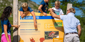Beitragsbild des Blogbeitrags Bereit für einzigartige Wandererlebnisse? Kommt mit auf einen unvergesslichen Familienurlaub in Zauchensee!