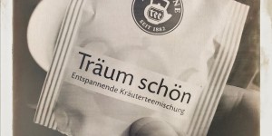 Beitragsbild des Blogbeitrags Mondschaf