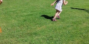 Beitragsbild des Blogbeitrags Hühnerfeder Dieb 
