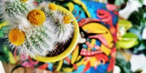Beitragsbild des Blogbeitrags Kreatives Recycling: Blumentöpfe in 5 verschiedenen Stilen
