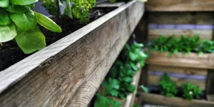 Beitragsbild des Blogbeitrags So baut ihr es selbst – Kräuterbeet aus Paletten