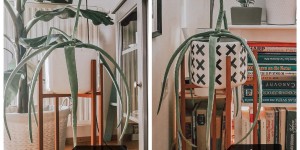 Beitragsbild des Blogbeitrags Einfache Umwandlung eines Blumentopfs im Scandi-Stil