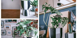 Beitragsbild des Blogbeitrags Zwei in einem und doch drei mal anders! DIY Blumentopf