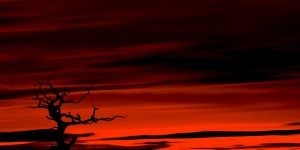 Beitragsbild des Blogbeitrags Online-Zugriffe im Oktober: Rot wohin das Auge blickt