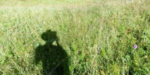 Beitragsbild des Blogbeitrags Die Geschichte zu Gedankenchaot