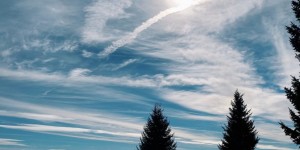 Beitragsbild des Blogbeitrags Raus in die Natur. Tag 34 von 90