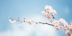 Beitragsbild des Blogbeitrags Ausgleich finden. Tag 43 & 44 von 90.