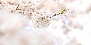Beitragsbild des Blogbeitrags Ruhe & Gelassenheit kehren ein. Tag 51 von 90