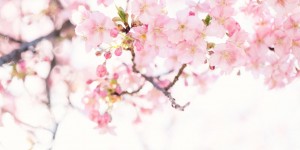 Beitragsbild des Blogbeitrags Was in mir vor geht. Tag 79 von 90