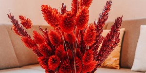 Beitragsbild des Blogbeitrags #interior - So lässt Du den Herbst bei Dir einziehen.