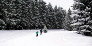 Beitragsbild des Blogbeitrags Langlaufen im Böhmerwald 