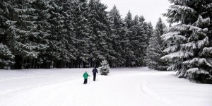 Beitragsbild des Blogbeitrags Langlaufen im Böhmerwald
