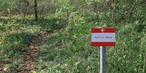 Beitragsbild des Blogbeitrags Die niederösterreichische Wüste