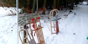 Beitragsbild des Blogbeitrags Rodelpartie im Mürztal