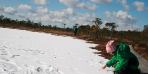 Beitragsbild des Blogbeitrags Soomaa: Durchs gefrorene Moor