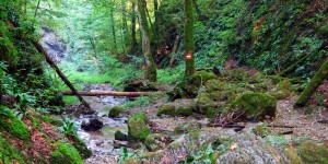 Beitragsbild des Blogbeitrags Der