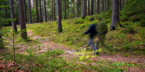 Beitragsbild des Blogbeitrags Lockdown, Leben und Rehabilitation - in der Natur!