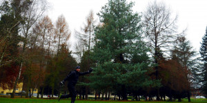 Beitragsbild des Blogbeitrags Im Balance-Park, Propriozeption und Gleichgewicht üben!