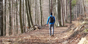 Beitragsbild des Blogbeitrags Wandern als Therapie, am Grazer Umland-Weg. Vom steirischen Steffl zum Stift Rein!