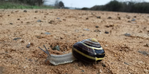Beitragsbild des Blogbeitrags Das Glück des Augenblicks., am Camino Frances erleben!