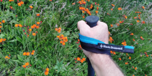 Beitragsbild des Blogbeitrags Gehen in der Natur, mein wichtigster Aspekt für die Genesung nach dem Hirnabszess!