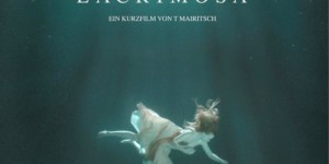 Beitragsbild des Blogbeitrags Manhatten Short Film Festival im Votivkino: Erstmals österreichischer Teilnehmer